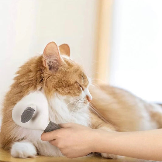 Hochwertige Tierfellbürste