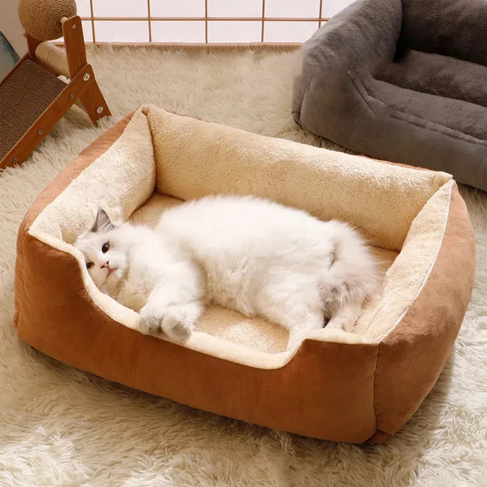 Premium Katzenbett