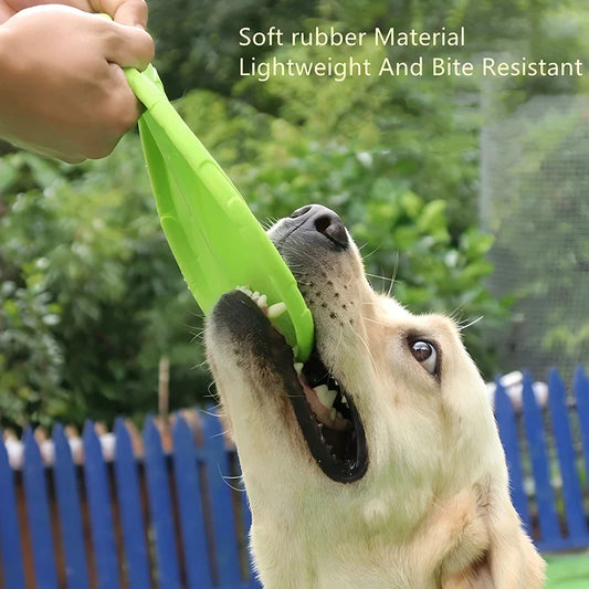 Hunde Frisbee