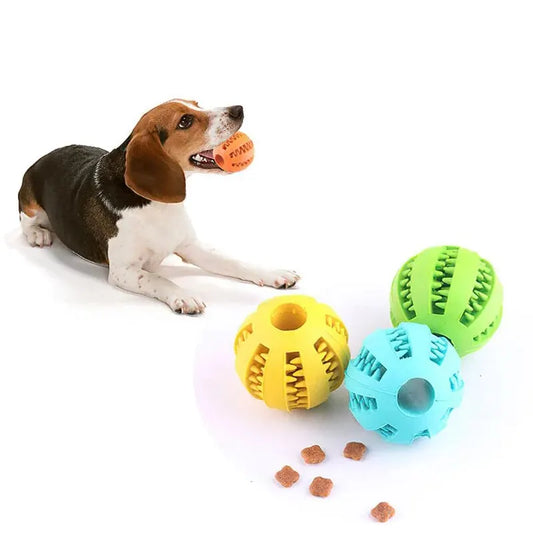 Leckerlieball - Hundeball